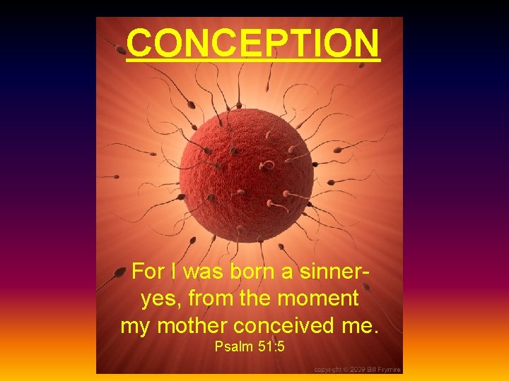 CONCEPTION For I was born a sinneryes, from the moment my mother conceived me.