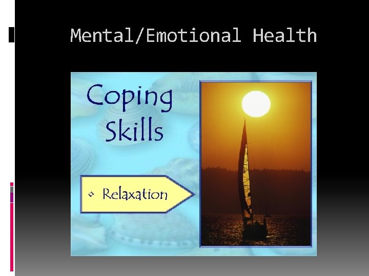 Mental/Emotional Health 