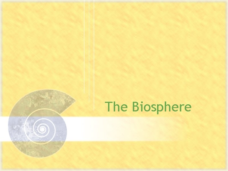 The Biosphere 