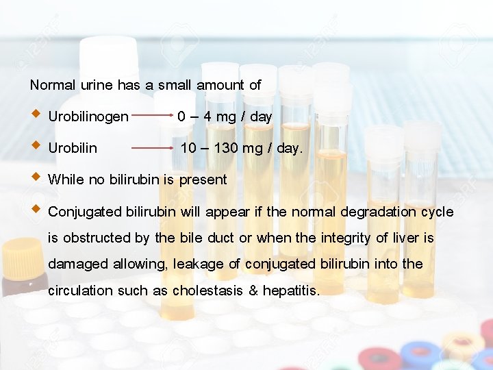 Normal urine has a small amount of Urobilinogen 0 – 4 mg / day