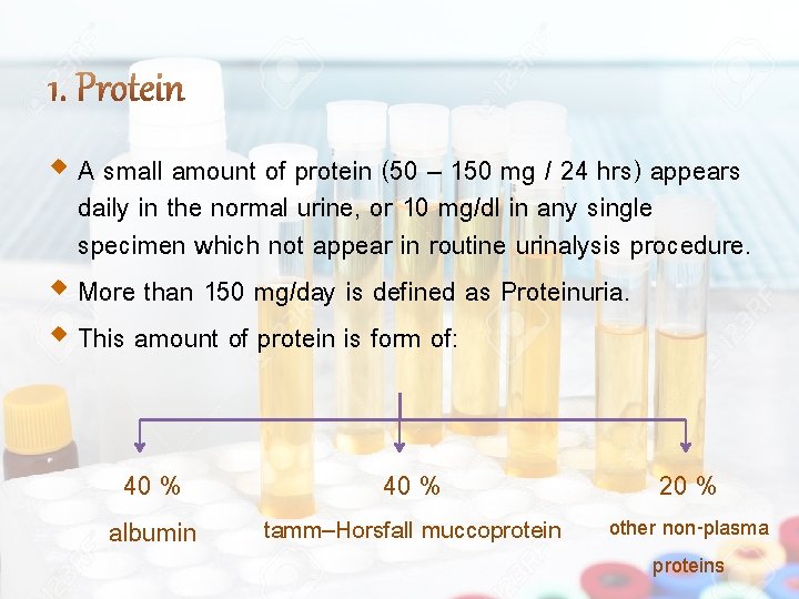  A small amount of protein (50 – 150 mg / 24 hrs) appears