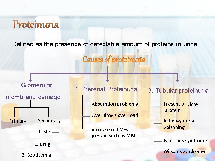 Defined as the presence of detectable amount of proteins in urine. 1. Glomerular membrane