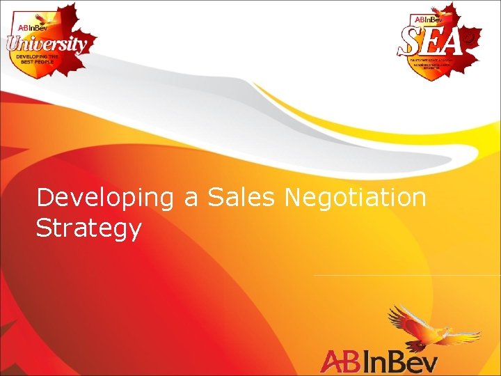 Developing a Sales Negotiation Strategy 