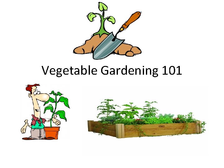 Vegetable Gardening 101 