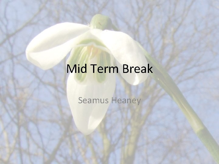 Mid Term Break Seamus Heaney 