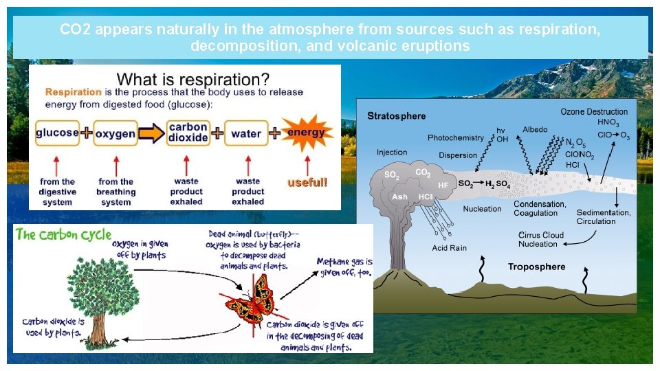 CO 2 appears naturally in the atmosphere from sources such as respiration, decomposition, and