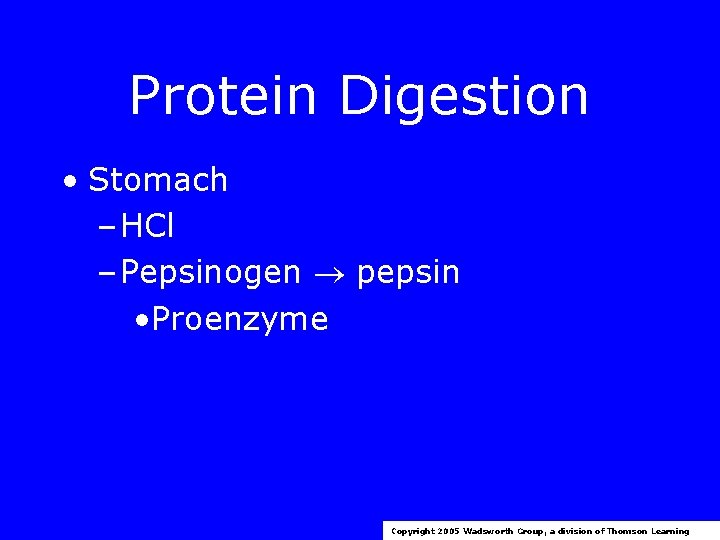 Protein Digestion • Stomach – HCl – Pepsinogen pepsin • Proenzyme Copyright 2005 Wadsworth