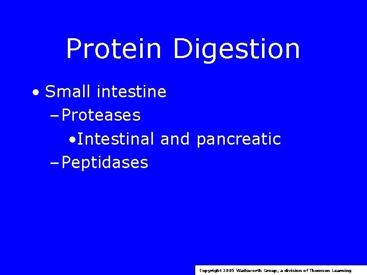 Protein Digestion • Small intestine – Proteases • Intestinal and pancreatic – Peptidases Copyright