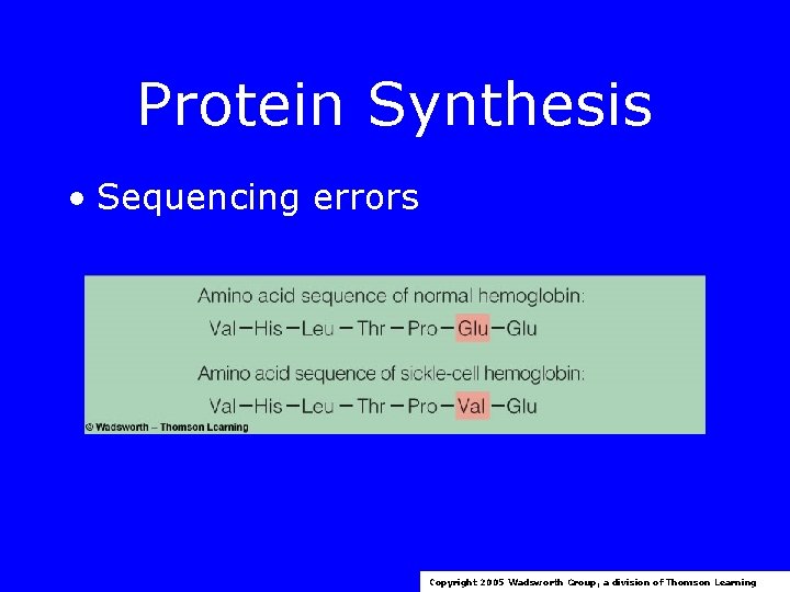 Protein Synthesis • Sequencing errors Copyright 2005 Wadsworth Group, a division of Thomson Learning