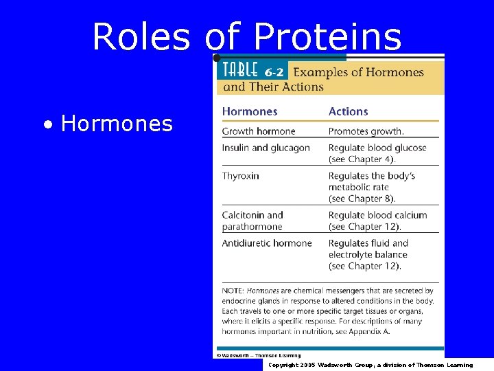 Roles of Proteins • Hormones Copyright 2005 Wadsworth Group, a division of Thomson Learning