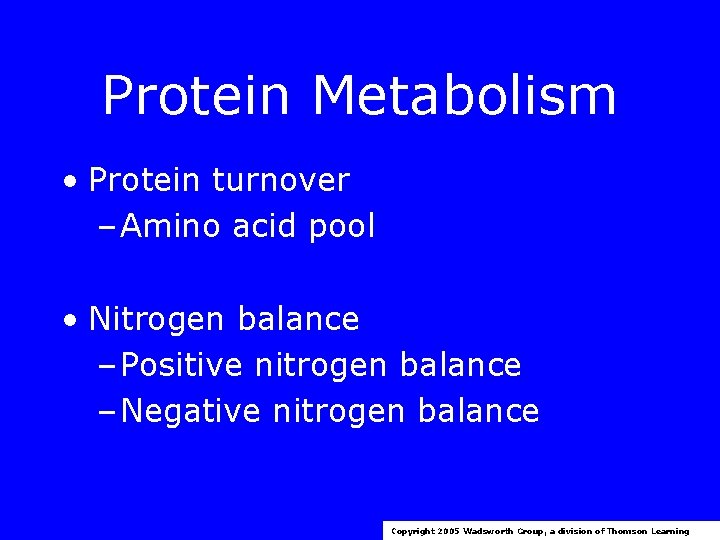 Protein Metabolism • Protein turnover – Amino acid pool • Nitrogen balance – Positive