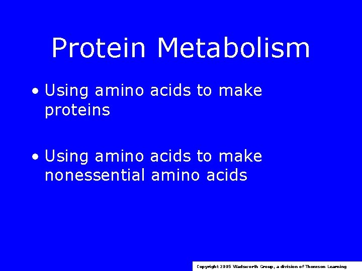 Protein Metabolism • Using amino acids to make proteins • Using amino acids to