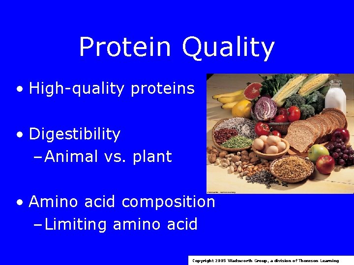 Protein Quality • High-quality proteins • Digestibility – Animal vs. plant • Amino acid