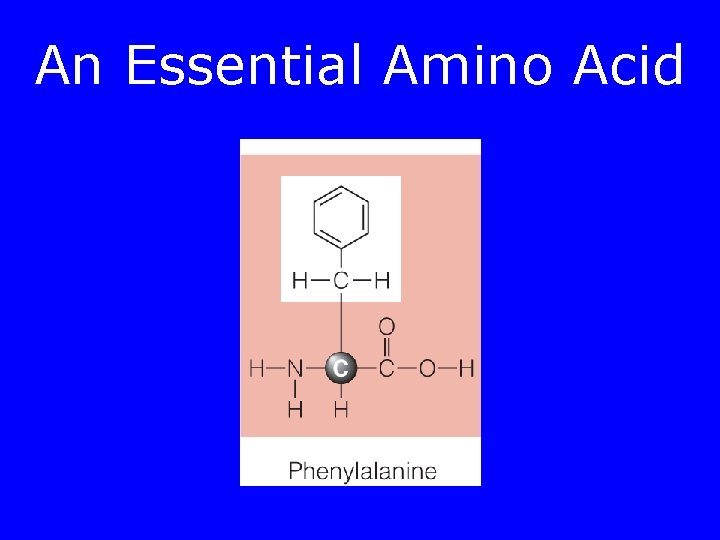 An Essential Amino Acid 