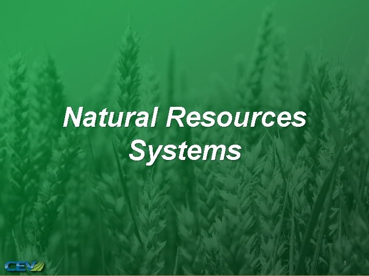 Natural Resources Systems 1 