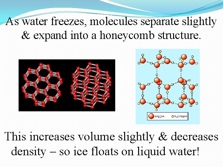 As water freezes, molecules separate slightly & expand into a honeycomb structure. This increases As water freezes, molecules separate slightly & expand into a honeycomb structure. This increases