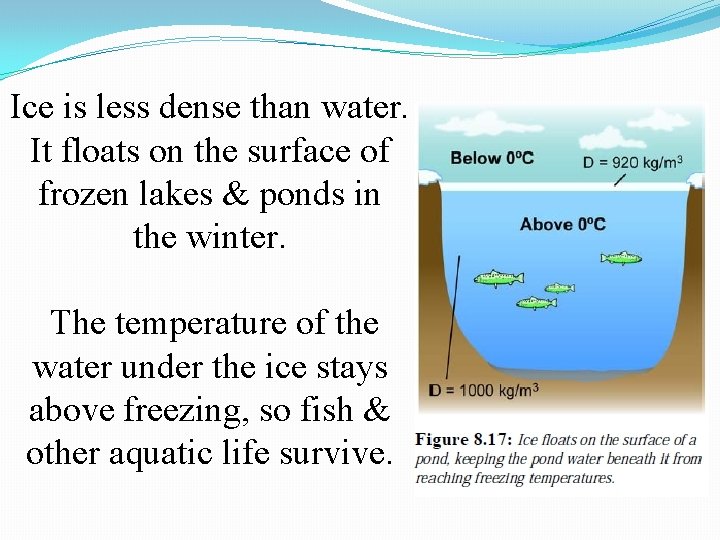 Ice is less dense than water. It floats on the surface of frozen lakes Ice is less dense than water. It floats on the surface of frozen lakes