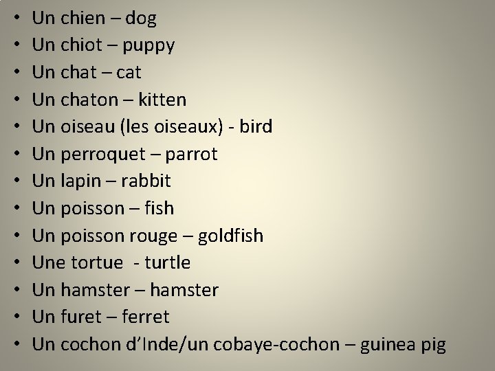  • • • • Un chien – dog Un chiot – puppy Un