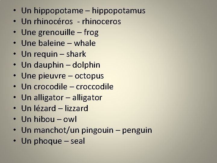  • • • • Un hippopotame – hippopotamus Un rhinocéros - rhinoceros Une