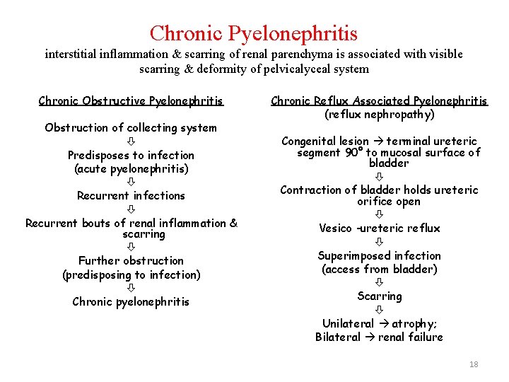 Chronic Pyelonephritis interstitial inflammation & scarring of renal parenchyma is associated with visible scarring