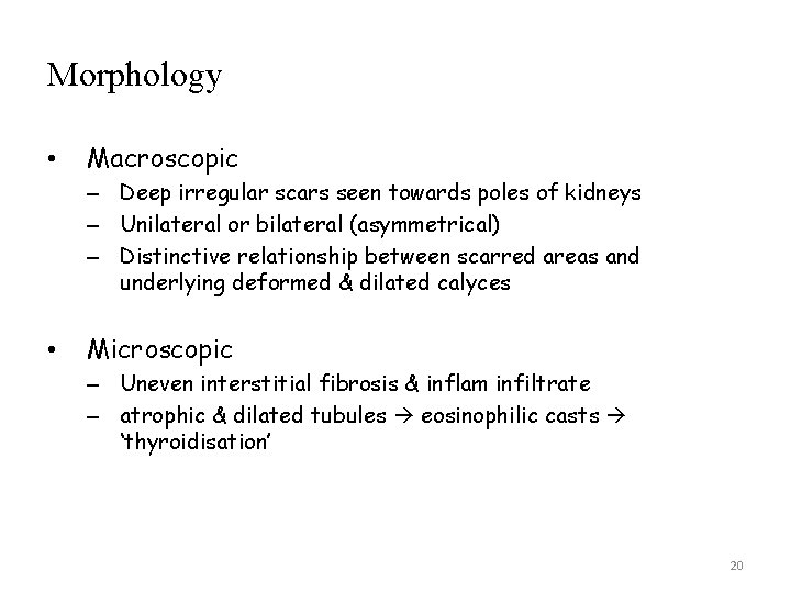 Morphology • Macroscopic – Deep irregular scars seen towards poles of kidneys – Unilateral