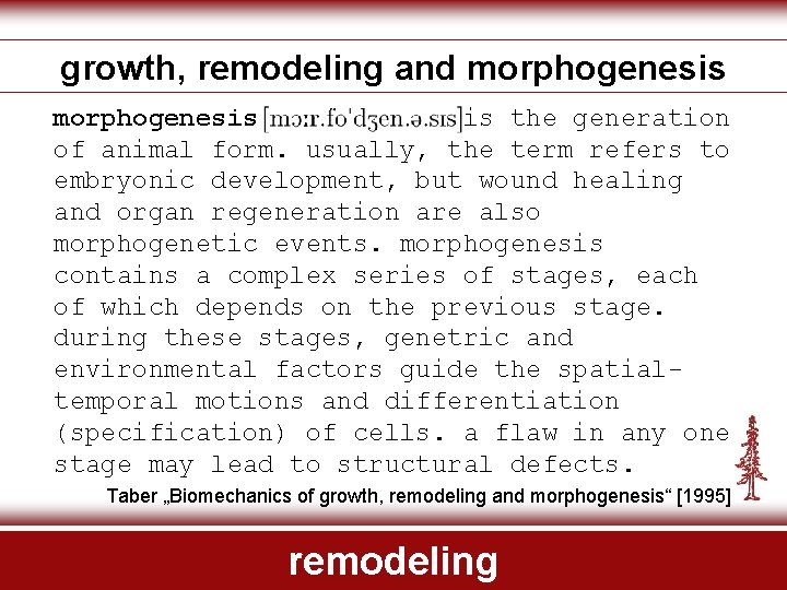 growth, remodeling and morphogenesis is the generation of animal form. usually, the term refers