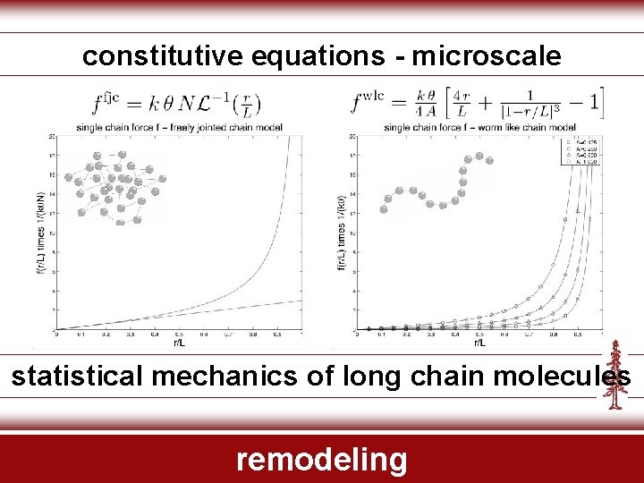 constitutive equations - microscale statistical mechanics of long chain molecules remodeling 