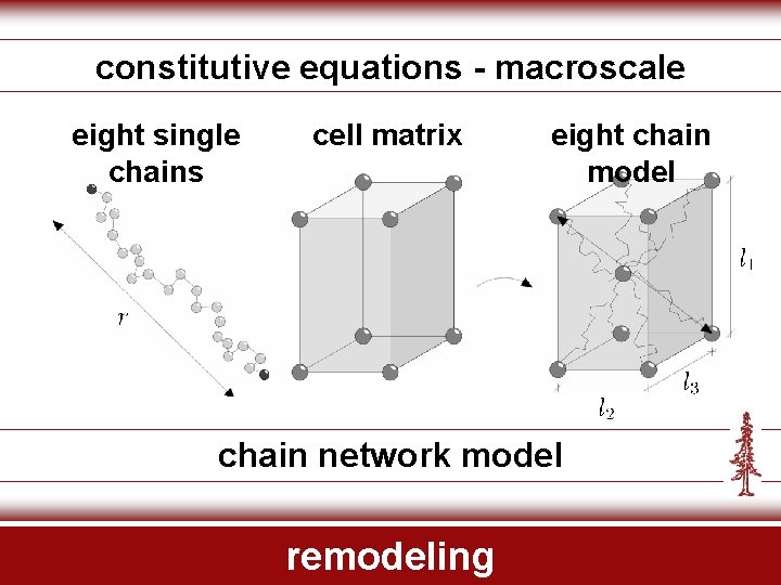 constitutive equations - macroscale eight single chains cell matrix eight chain model chain network