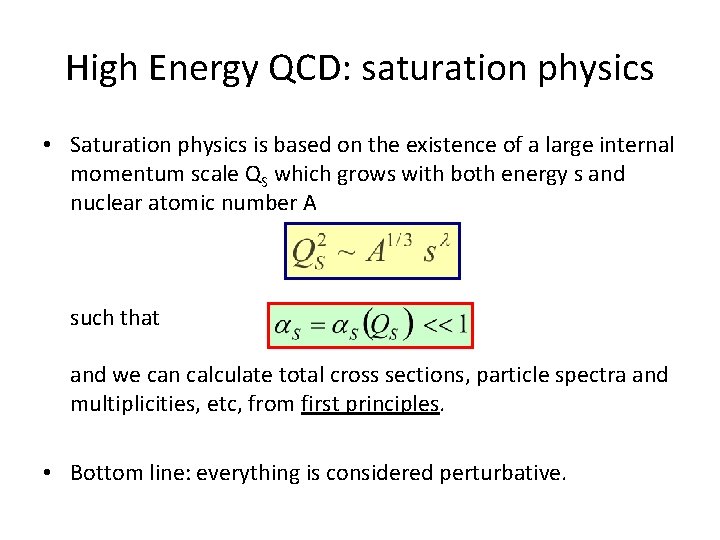 High Energy QCD: saturation physics • Saturation physics is based on the existence of