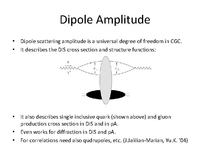 Dipole Amplitude • Dipole scattering amplitude is a universal degree of freedom in CGC.