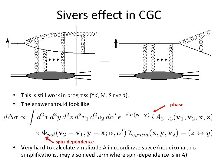 Sivers effect in CGC • This is still work in progress (YK, M. Sievert).