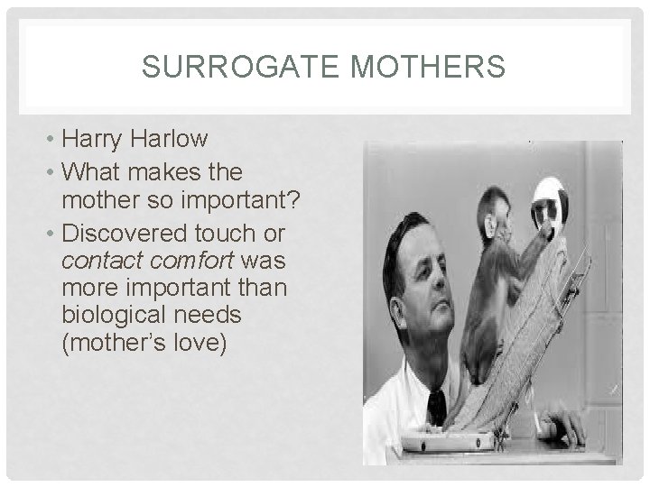 SURROGATE MOTHERS • Harry Harlow • What makes the mother so important? • Discovered