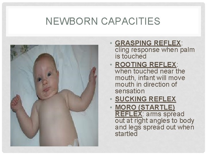NEWBORN CAPACITIES • GRASPING REFLEX: cling response when palm is touched • ROOTING REFLEX: