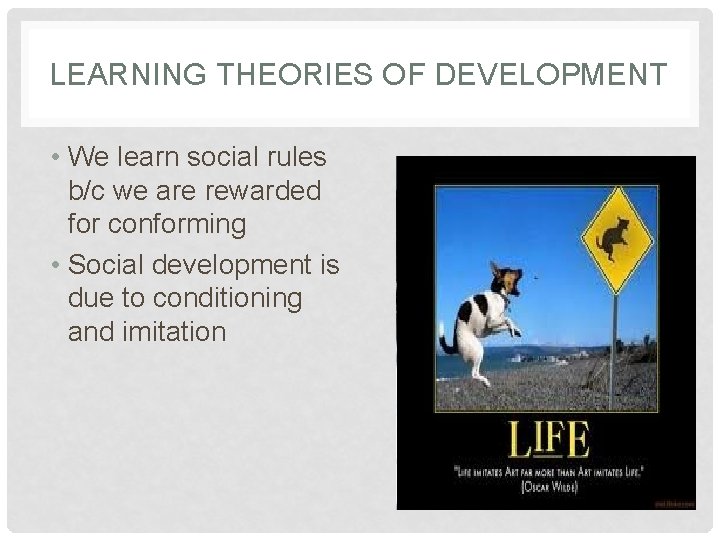 LEARNING THEORIES OF DEVELOPMENT • We learn social rules b/c we are rewarded for