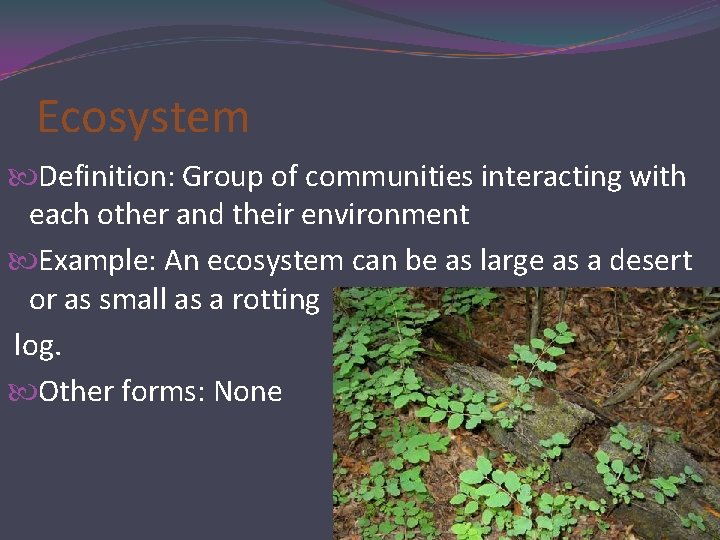Community Definition Ecosystem Ecology Vocabulary ECOLOGY Definition Study of the relationship
