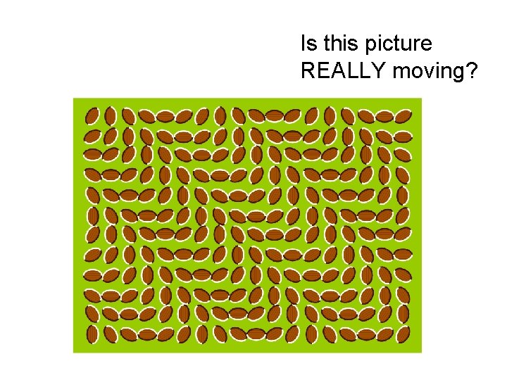 Is this picture REALLY moving? Is this picture REALLY moving?