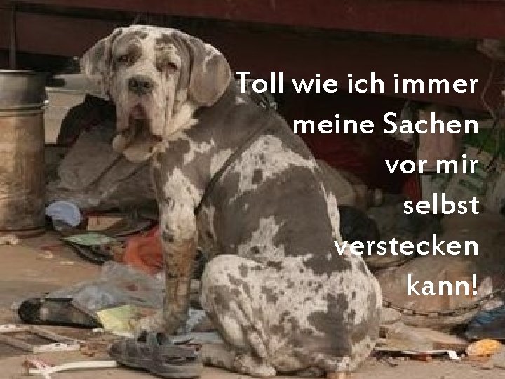 Toll wie ich immer meine Sachen vor mir selbst verstecken kann! 