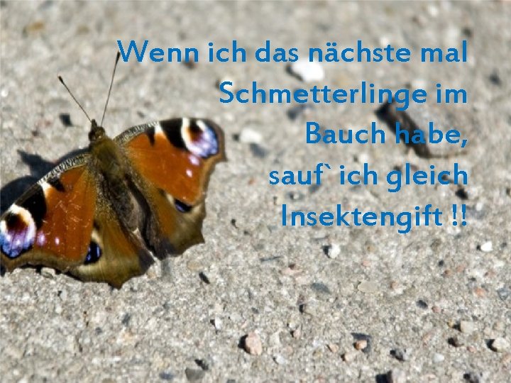 Wenn ich das nächste mal Schmetterlinge im Bauch habe, sauf` ich gleich Insektengift !!