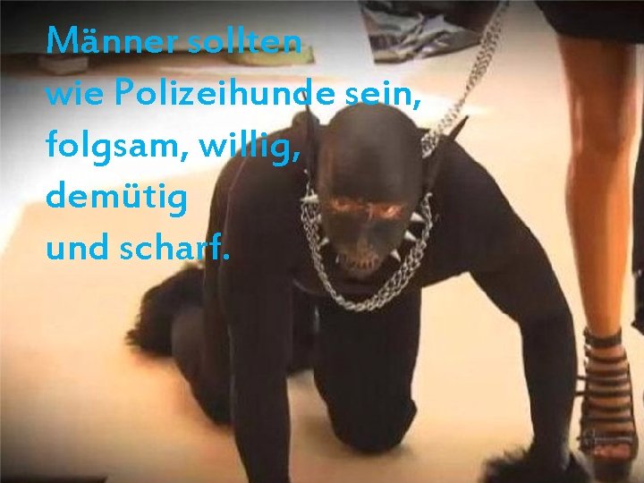 Männer sollten wie Polizeihunde sein, folgsam, willig, demütig und scharf. 