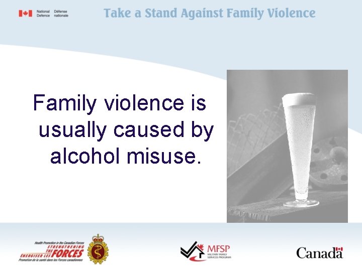 Family violence is usually caused by alcohol misuse. 
