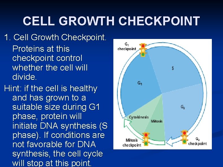 CELL GROWTH CHECKPOINT 1. Cell Growth Checkpoint. Proteins at this checkpoint control whether the