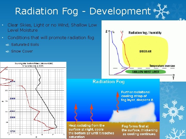Radiation Fog - Development • Clear Skies, Light or no Wind, Shallow Level Moisture