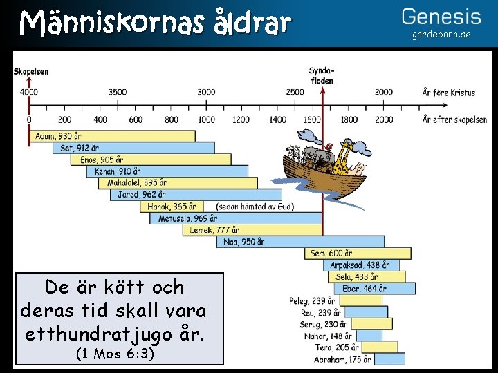 Människornas åldrar De är kött och deras tid skall vara etthundratjugo år. (1 Mos