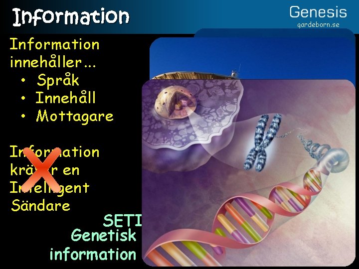 Information innehåller. . . • Språk • Innehåll • Mottagare Information kräver en Intelligent