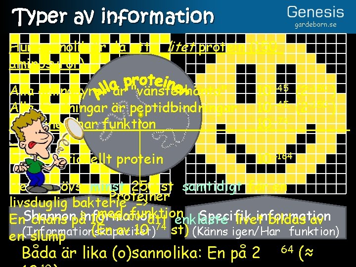 Typer av information Hur sannolik är då ett aminosyror) gardeborn. se litet protein (150