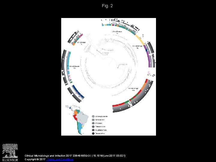 Fig. 2 Clinical Microbiology and Infection 2017 23845 -853 DOI: (10. 1016/j. cmi. 2017.