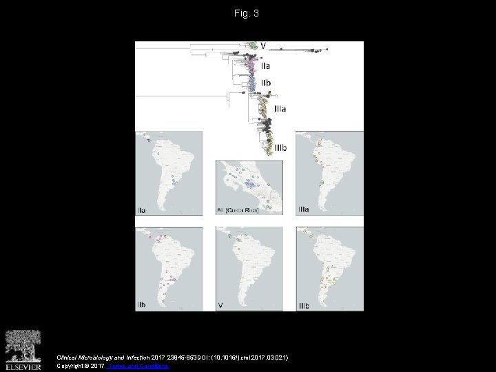 Fig. 3 Clinical Microbiology and Infection 2017 23845 -853 DOI: (10. 1016/j. cmi. 2017.