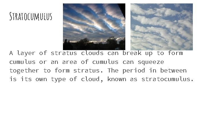 Stratocumulus A layer of stratus clouds can break up to form cumulus or an