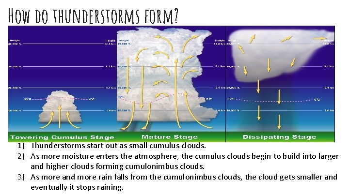 How do thunderstorms form? 1) Thunderstorms start out as small cumulus clouds. 2) As