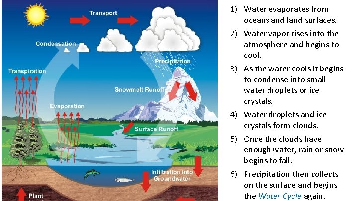 1) Water evaporates from oceans and land surfaces. 2) Water vapor rises into the